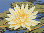 /library/uploads/Images_S8/WEB2SCALE Waterlily.jpg